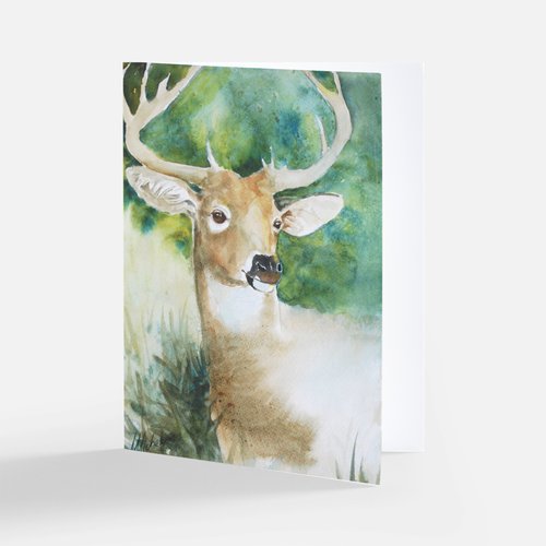 Spirit Animal Notecards (8 pack assorted)