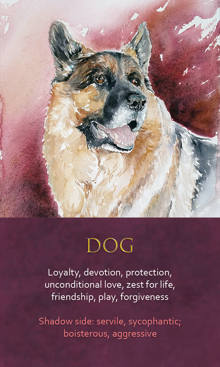 Spirit Animal Awareness Oracle Card Deck